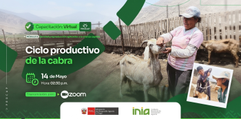  Capacitación virtual - "Ciclo productivo de la cabra" INIA