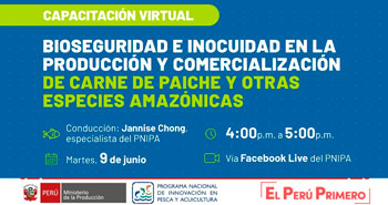 Capacitación virtual Gratuita: Bioseguridad e Inocuidad en la producción y comercialización de la carne de paiche