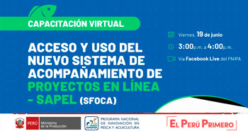 (Capacitación Virtual Gratuito) PNIPA: Acceso y uso del sistema de acompañamiento de proyectos en línea SAPEL