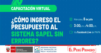 (Capacitación Virtual) PNIPA: Como Ingreso el Presupuesto al Sistema Sapel sin Errores