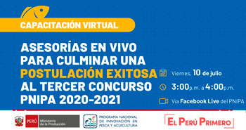 (Capacitación virtual) PNIPA: Asesorías en vivo para culminar una postulación exitosa