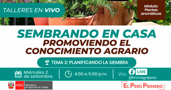 (Taller Virtual  Gratuito) MINAGRI: Sembrando en casa – promoviendo el conocimiento agrario