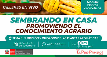 (Taller Virtual Gratuito) MINAGRI: Sembrando en casa – promoviendo el conocimiento agrario