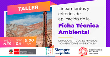 (Taller Virtual Gratuito) MINEM: Lineamientos y criterios de aplicación de la Ficha Técnica Ambiental