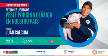 (Webinar Gratuito) SENASA: Regiones libres de peste porcina clásica en nuestro Pais