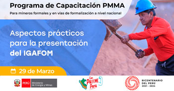 (Capacitación Virtual Gratuita) MINEM: Aspectos prácticos para la presentación del IGAFOM