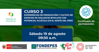 Curso online Experiencias de producción y cultivo de especies de moluscos bivalvos con potencial acuícola