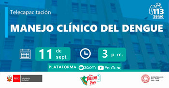 Capacitación online gratis "Manejo clínico del dengue" del Instituto Nacional de Salud (INS)