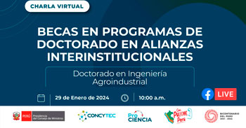 Charla informativa online Becas en Programas de Doctorado en Alianzas Interinstitucionales