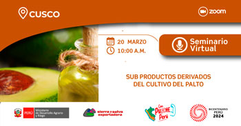 Seminario online "Sub productos derivados del cultivo del palto" de Sierra y Selva Exportadora