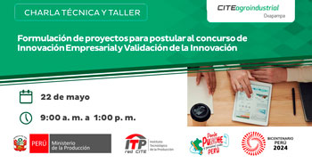  Charla online Formulación de proyectos para postular al concurso de Innovación Empresarial y Validación de  Innovación