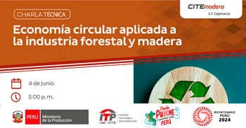  Charla online gratis "Economía circular aplicada a la industria forestal y madera" del ITP