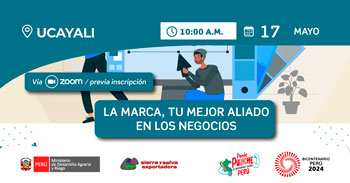 Seminario online "La marca, tu mejor aliado en los negocios" de Sierra y Selva Exportadora