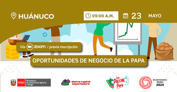 Seminario online "Oportunidades de negocio de la papa" de Sierra y Selva Exportadora