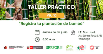 Taller presencial "Registra tu plantación de bambú" en el Perú de Serfor Perú