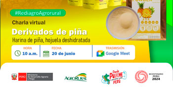 Charla online "Derivados de piña: Harina de piña, hojuela deshidratada" de Agro Rural