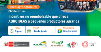 Charla online "Incentivos no reembolsable que ofrece  AGROIDEAS a pequeños productores agrarios" -  Agro rural