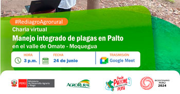 Charla online "Manejo integrado de plagas en Palto en el valle de Omate" de Agro Rural