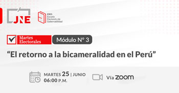 Conferencia online  "El retorno a la bicameralidad en el Perú" del JNE