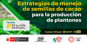 Curso online "Estrategias de manejo de semillas de cacao para la producción de plantones" del INIA