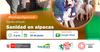 Curso online gratis "Sanidad en alpacas" de Agro Rural