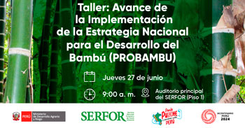 Taller presencial  Avance de la Implementación de la Estrategia Nacional para el Desarrollo del Bambú (PROBAMBU)