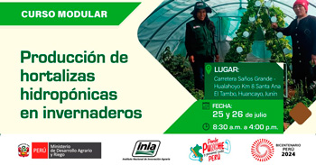 Curso presencial sobre el "Producción de hortalizas hidropónicas en invernaderos" del INIA