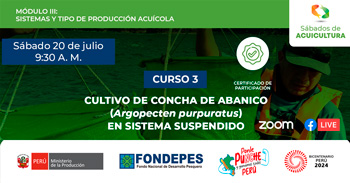 Curso online gratis  "Cultivo de Concha de Abanico (Argopecten purpuratus) en Sistema Suspendido" 