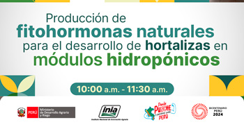 Curso online  Producción de fitohormonas naturales para el desarrollo de hortalizas en módulos hidropónico del INIA