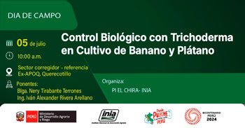 Evento presencial "Control Biológico con Trichoderma en cultivo de Banano y Plátano" del INIA