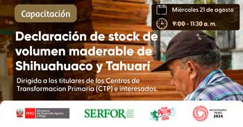 Capacitación online "Declaración de stock de volumen maderable de Shihuahuaco y Tahuarí" del SERFOR