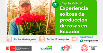 Charla online Experiencia exitosa de producción de rosas en Ecuador de Agro Rural