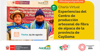 Charla online "Experiencias del Centro de Producción Artesanal de Fibra de Alpaca" de Agro Rural