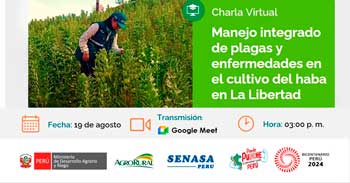 Charla online gratis"Manejo integrado de plagas y enfermedades en el cultivo del haba en La Libertad"