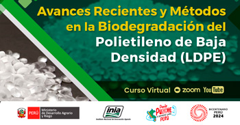 Curso online  "Avances Recientes y Métodos en la Biodegradación del Polietileno de Baja Densidad (LDPE)"