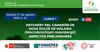 Curso online gratis  "Hatchery del Camarón de Agua Dulce de Malasia (Macrobrachium rosenbergii)"  del FONDEPES