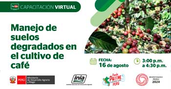 Curso online "Manejo de suelos degradados en el cultivo de café" del INIA