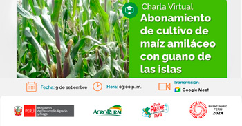 Charla online "Abonamiento de cultivo de maíz amiláceo con guano de las islas"  de Agro Rural