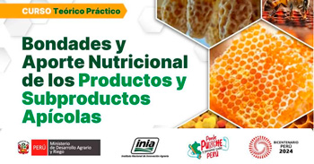 Curso semipresencial "Bondades y aporte nutricional de los productos y subproductos apícolas" del INIA