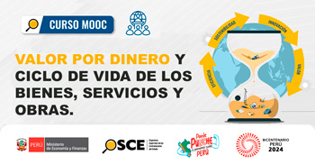 Curso online gratis "Valor por dinero y ciclo de vida de los bienes, servicios y otros" del OSCE