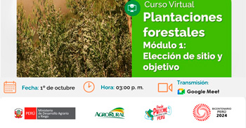 Curso online gratis "Plantaciones forestales - Módulo 1: Elección de sitio y objetivo de las plantaciones." 