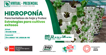 Curso online y presencial Hidroponía para hortalizas de hoja y fruto: estrategias para cultivos exitosos  del INIA