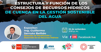 Evento online ;Estructura y función de los Consejos de Recursos Hídricos de Cuenca en la gestión sostenible del agua