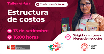 Taller  online "Estructura de costos" del PRODUCE