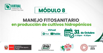 Capacitación online "Manejo fitosanitario en producción de cultivos hidropónicos" del INIA