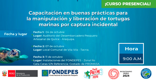 Curso Presencial "Buenas Prácticas para la Manipulación y Liberación de Tortugas Marinas" de FONDEPES