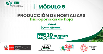 Curso online "Producción de hortalizas hidropónicas de hoja" del INIA