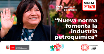 Evento online "Nueva norma fomenta la industria petroquímica" del MINEM