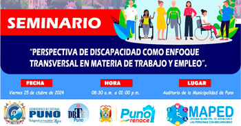 Seminario presencial "Perspectiva Discapacidad, Como Enfoque Transversal en Materia de Trabajo y Empleo"