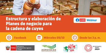 Webinar online "Estructura y elaboración de Planes de negocio para la cadena de cuyes" de AGROIDEAS